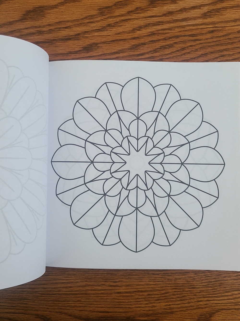 Easy Adult Coloring Book W/Ohuhu Glitter Markers - Picture 9 of 12